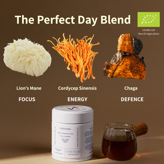 Focus & Perform Organic Mushroom Extract