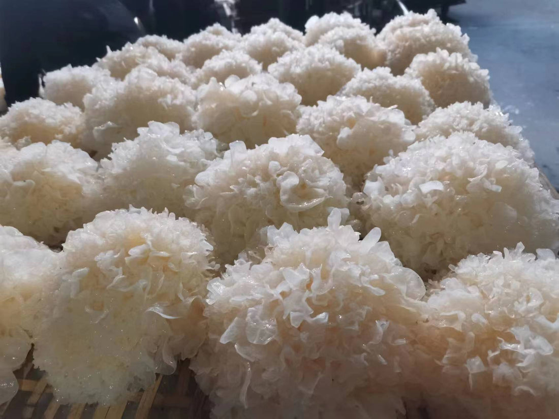 Close-up of organic Tremella mushrooms drying on a bamboo tray, showing their soft, white, coral-like texture.