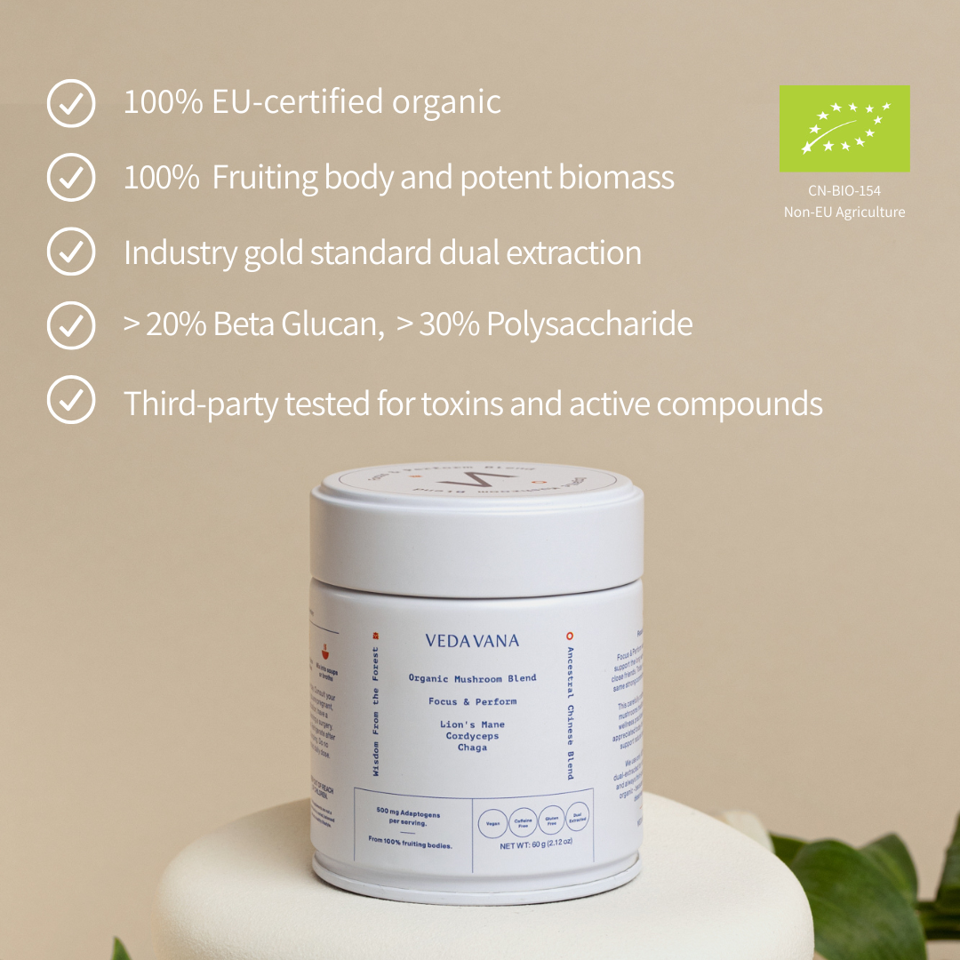 Focus & Perform Organic Mushroom Extract
