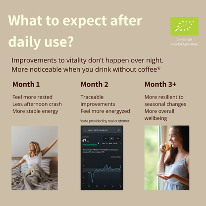 Morning Focus & Evening Relaxation Bundle