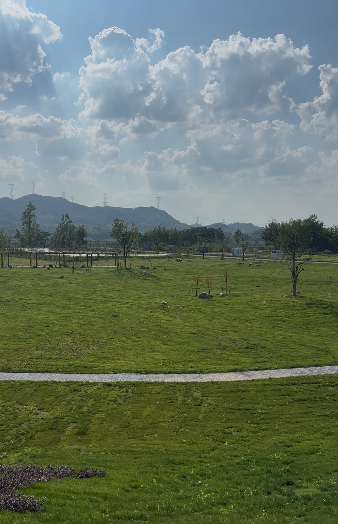 Green field in the Dao Di region with trees, mountains, and a bright blue sky with clouds