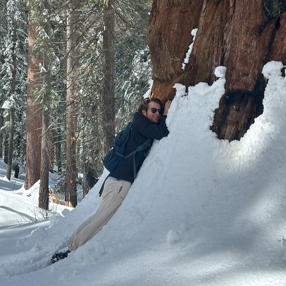 Co-founder hugging a giant sequoia tree in Sequoia National Park, California, surrounded by snow in a winter forest scene.