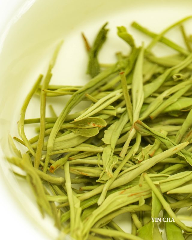 Brewed Steam Jade green tea leaves in a white bowl