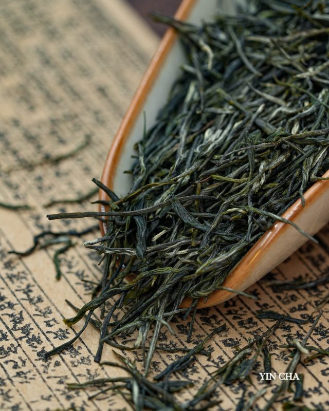 Dry Steam Jade green tea leaves in a ceramic bowl on calligraphy background