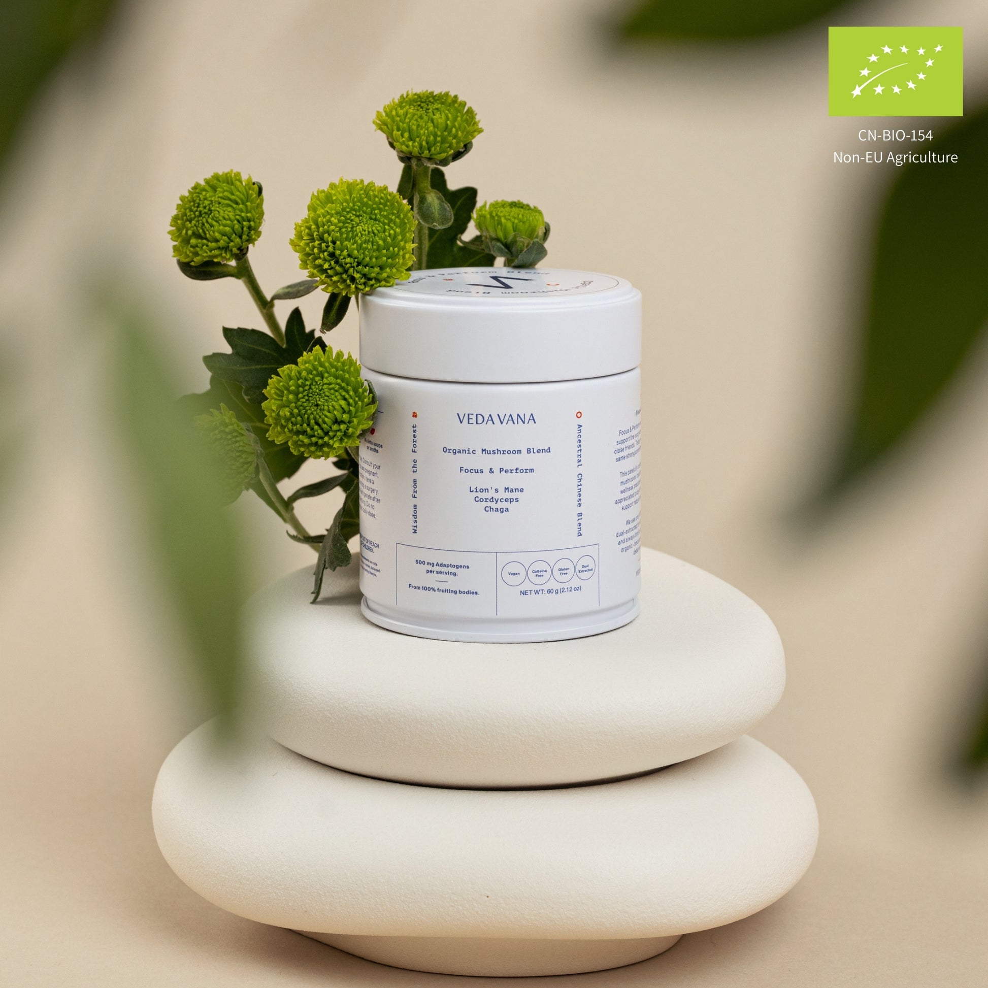 Veda Vana Focus & Perform organic mushroom extract powder with Lion’s Mane, Cordyceps, and Chaga, designed for clarity and energy.