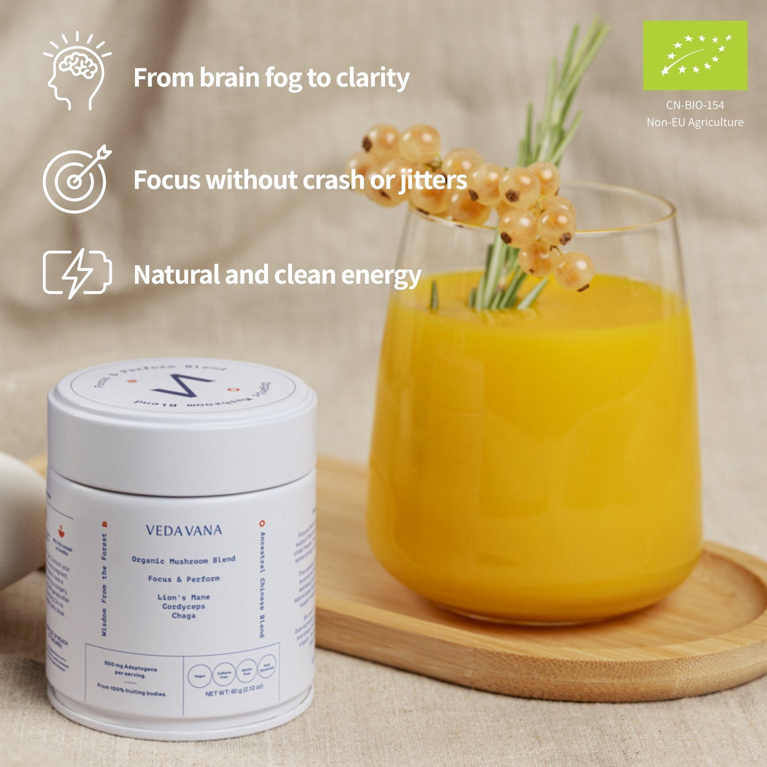 Veda Vana Focus & Perform organic mushroom blend with Lion’s Mane, Cordyceps, and Chaga, supporting brain clarity, clean energy, and focus without jitters.