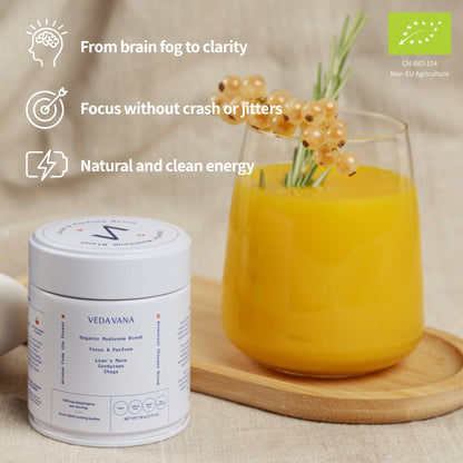 Veda Vana Focus & Perform organic mushroom blend with Lion’s Mane, Cordyceps, and Chaga, supporting brain clarity, clean energy, and focus without jitters.